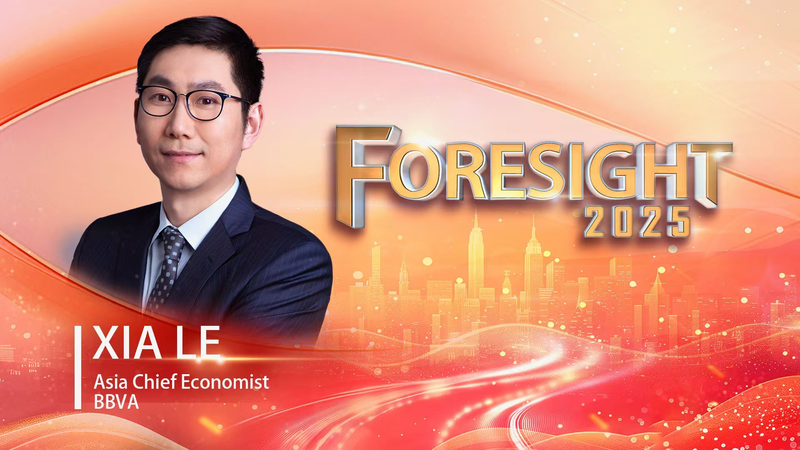 中国の開放路線は世界経済の安定装置か　専門家が語る2025年の焦点 video poster