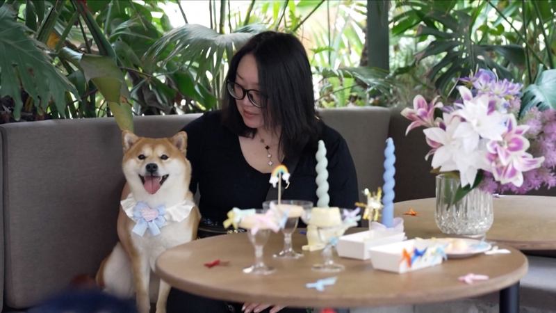 中国ペット経済の最前線　犬専用レストランと進化するデイケア video poster