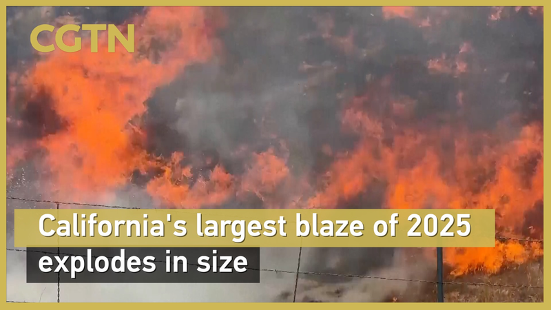 2025年最大のカリフォルニア山火事　なぜここまで拡大したのか video poster