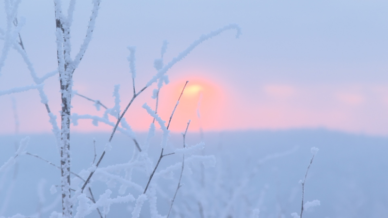 中国・アルシャン市の樹氷 冬に現れる「氷の妖精の国」 video poster