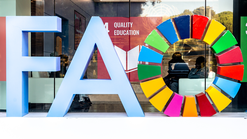 習主席、国連FAO設立80周年を祝賀　食料安全保障への協力を表明