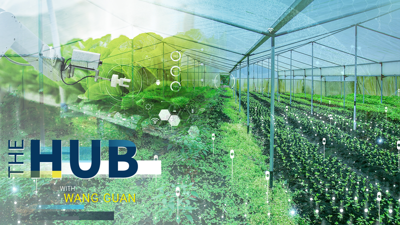 中国の新しい農業コードと「新しい農民」　2025年No.1 central documentが示す方向性 video poster