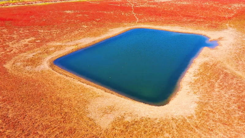 世界自然遺産・条子泥湿地　渡り鳥を守る中国江蘇省の沿岸湿地 video poster