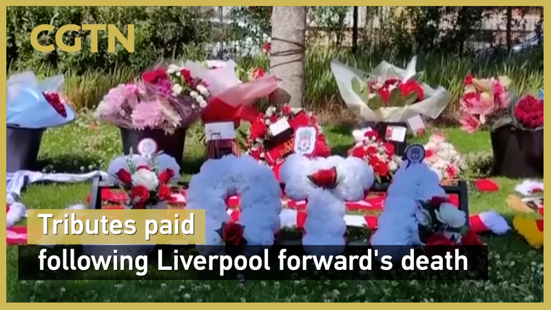リバプールFWディオゴ・ジョタがスペインで事故死 サッカー界に追悼広がる video poster
