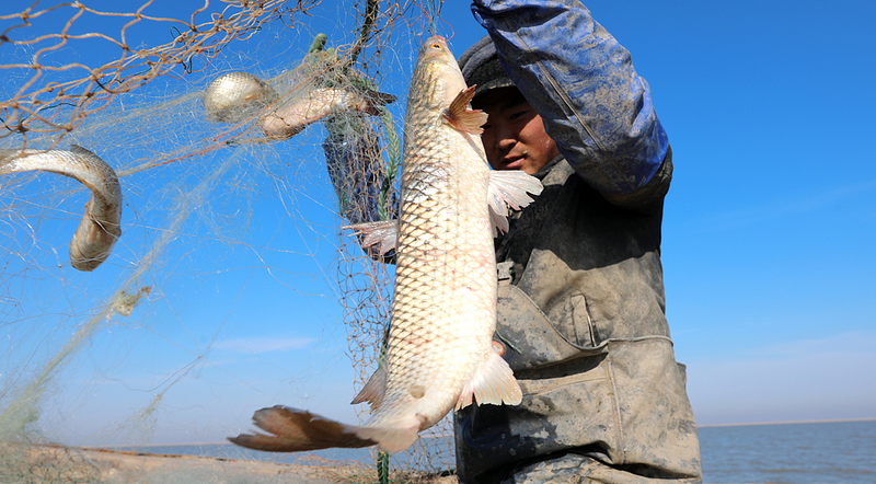 中国の漁船から見る海の暮らしと海洋強国づくりのいま