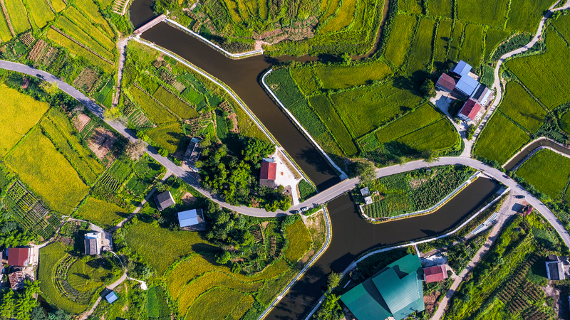 国連気候サミット2025で中国が2035年温室ガス削減目標を発表