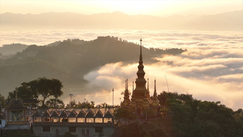 中国の焼き茶文化がユネスコ世界遺産に 雲南・景邁山の物語