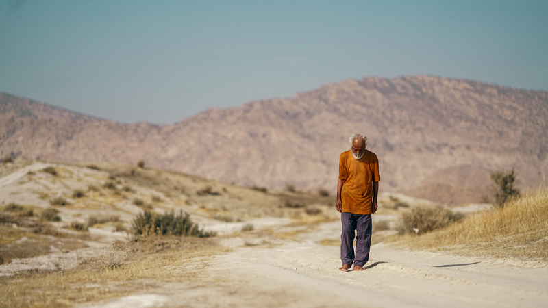 イラン×チェコ映画『Vortex』、北京国際映画祭・天壇賞に正式出品