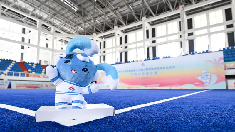 中国・サンヤで第12回全国少数民族伝統体育運動会　56民族1万人が参加 video poster