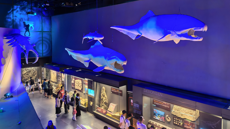 天津・国家海洋博物館の古代化石　海洋共同体を語る46億年の物語