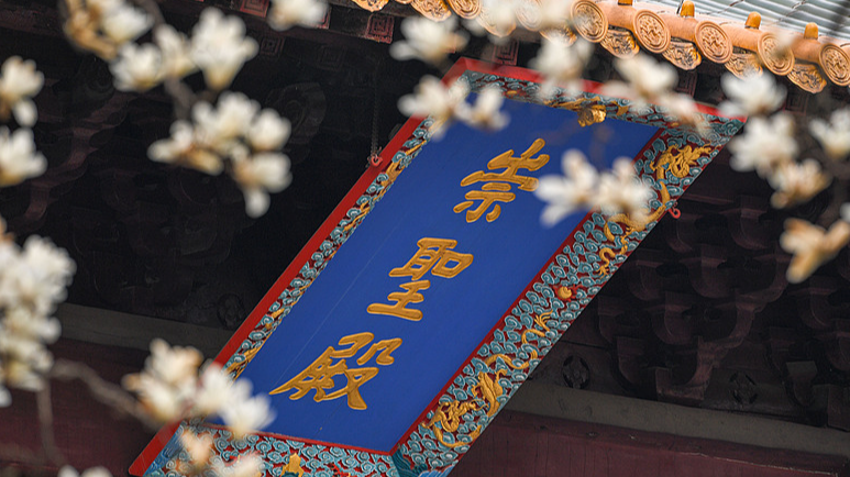 南京・朝天宮で木蓮が春を彩る　歴史建築と季節の風景を楽しむ国際ニュース