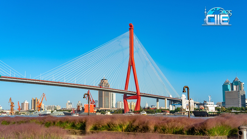 上海・楊浦リバーフロント　工業地帯が静かな水辺空間に変身 video poster