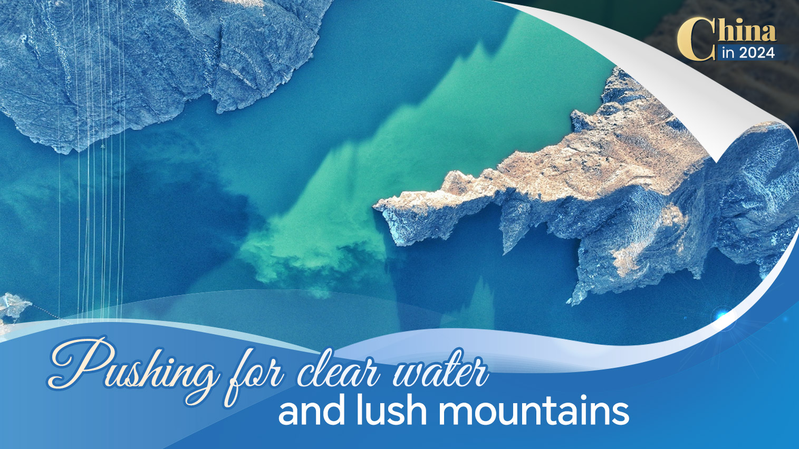 中国の生態保護最前線 2024：砂漠緑化と黄河、生物多様性