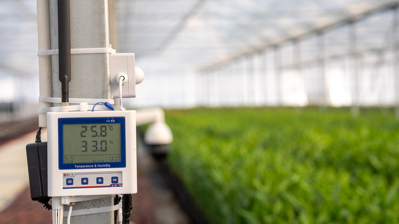 中国の農業近代化が農村振興をけん引　2024年データから読む