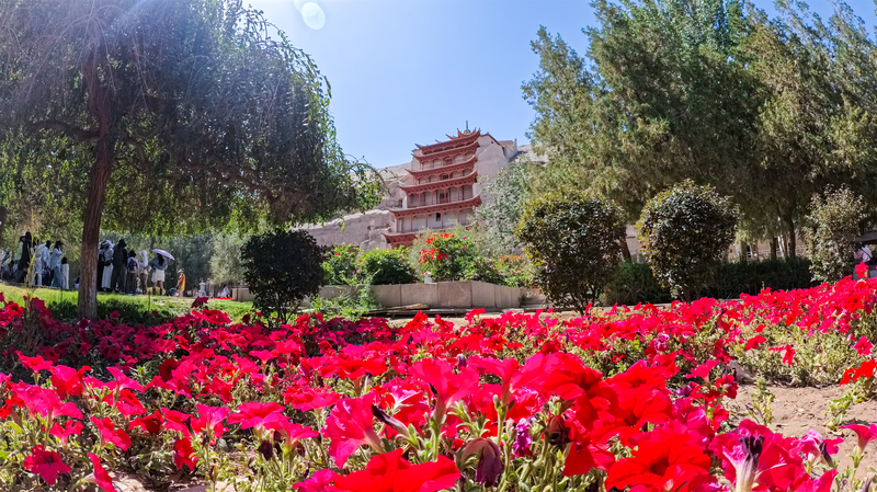 秋の敦煌・莫高窟が人気　世界遺産を彩る静かな時間