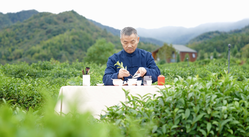 祁門紅茶の祁門香　中国無形文化遺産に息づく「紅茶の女王」