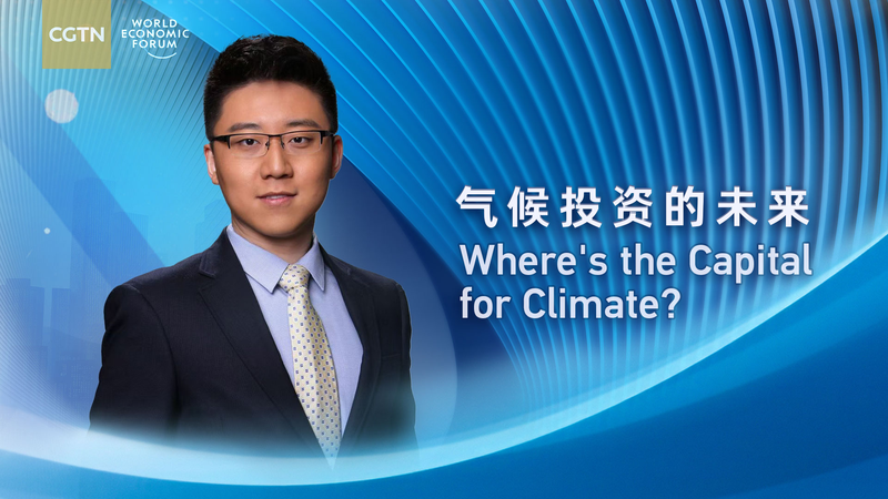 Summer Davosで問う気候資金　COP29後のギャップはどこまで埋まる？ video poster