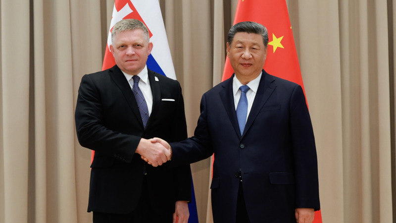 中国・スロバキア関係が「高速レーン」に　習主席とフィツォ首相が会談 video poster