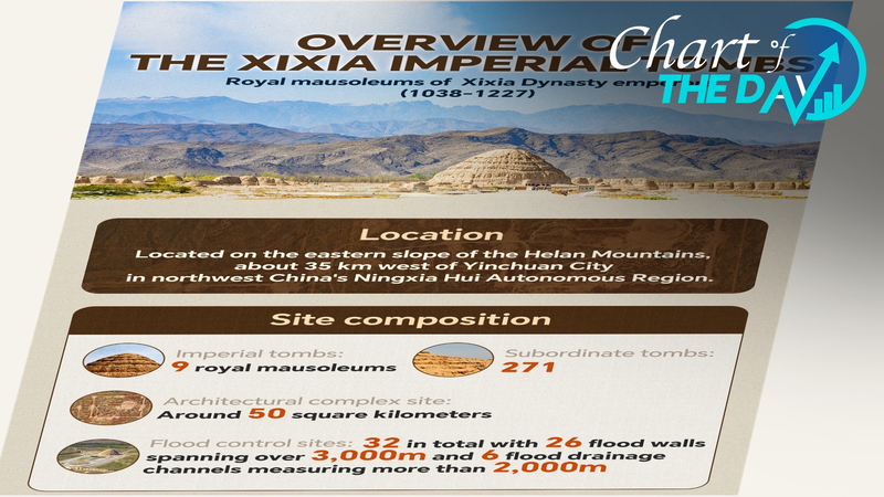 ユネスコ世界遺産に西夏王陵　中国の登録件数は60に