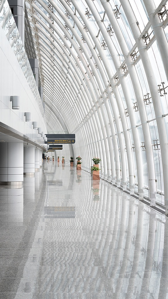 中国からの旅行者激減、日本の観光業に打撃　12月便の4割超が運休 video poster