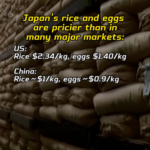 9V7WEWU3CQ8BRW35899D - NewsTomo – 日本語で読む、世界のニュースハブ コメと卵が高値継続、卵かけご飯が遠のく——12月下旬の日本で何が起きている? video poster