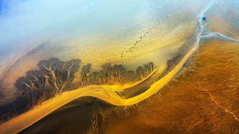 World Coastal Forum 2025、江蘇省塩城市で開幕　沿岸生態系と持続可能な開発