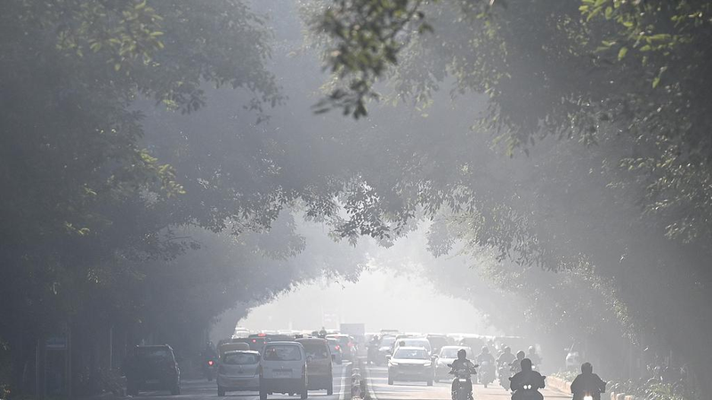 新たな気候リスク：日ごとの急激な気温変化が健康を脅かす