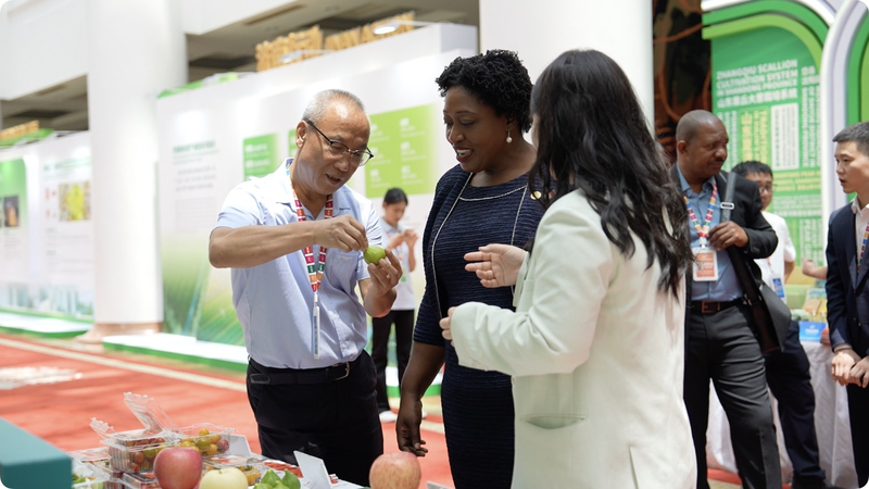 中国・「春の城」済南でスマート農業国際会議 2030年ゼロハンガーへ