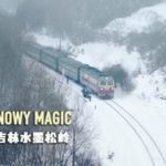 吉林省の“雪村”が話題、牛そりで味わう中国本土の冬景色 video poster
