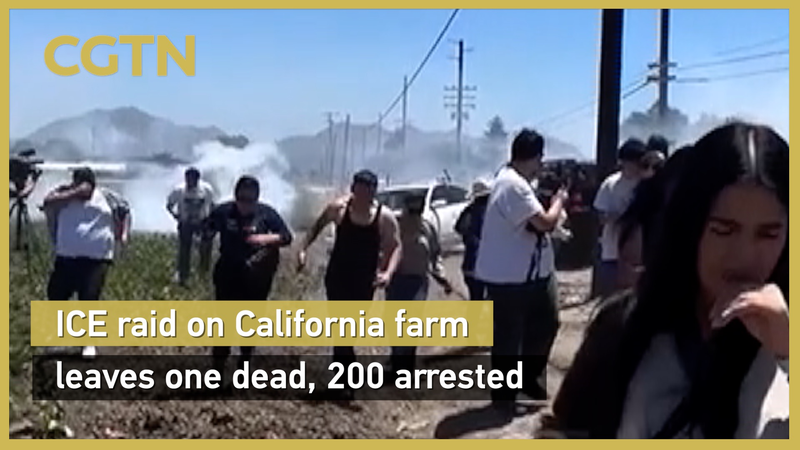 米ICEがカリフォルニア大麻農場を急襲　1人死亡・200人逮捕の衝撃 video poster
