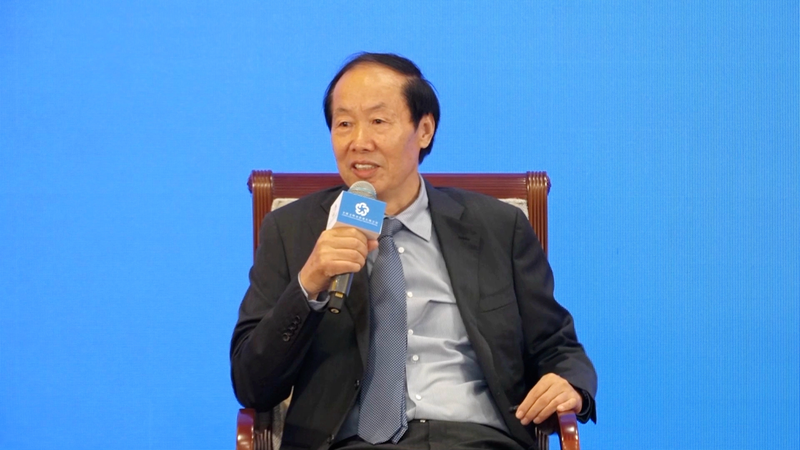 中国専門家が語る文化遺産保護　鍵は国際協力 video poster