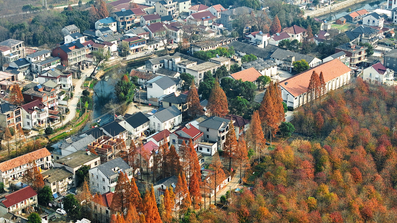 習近平氏が農村改革の深化を指示　中国「農業強国」戦略の焦点