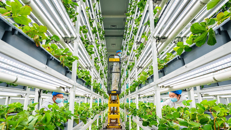 中国発・農業技術の近代化がグローバルサウスを変える