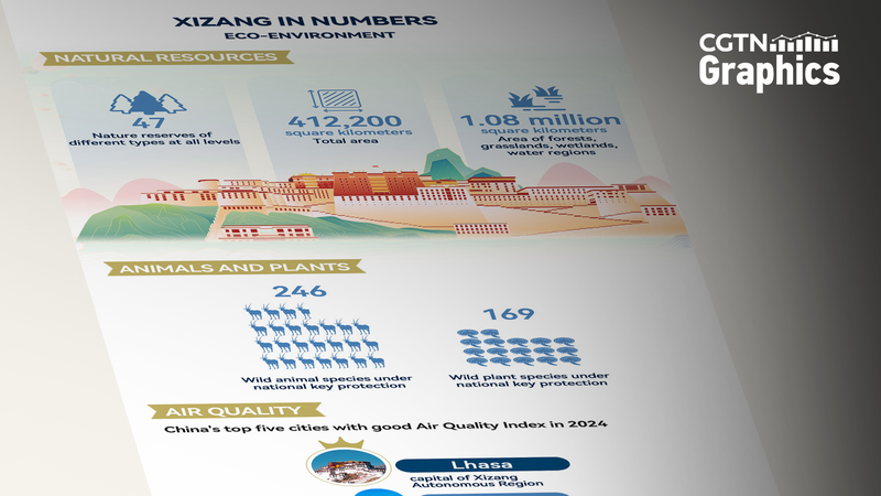 中国・Xizang人権白書　環境権と生態保護の位置づけ