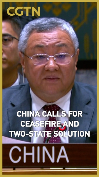 国際ニュース：中国がガザ・ヨルダン川西岸の攻撃停止と二国家解決を国連で訴え video poster