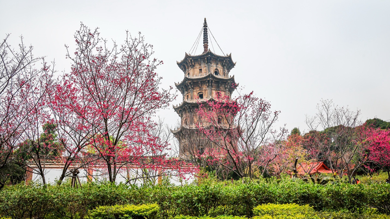 孔子の響き：シルクロードが語る文明対話の力