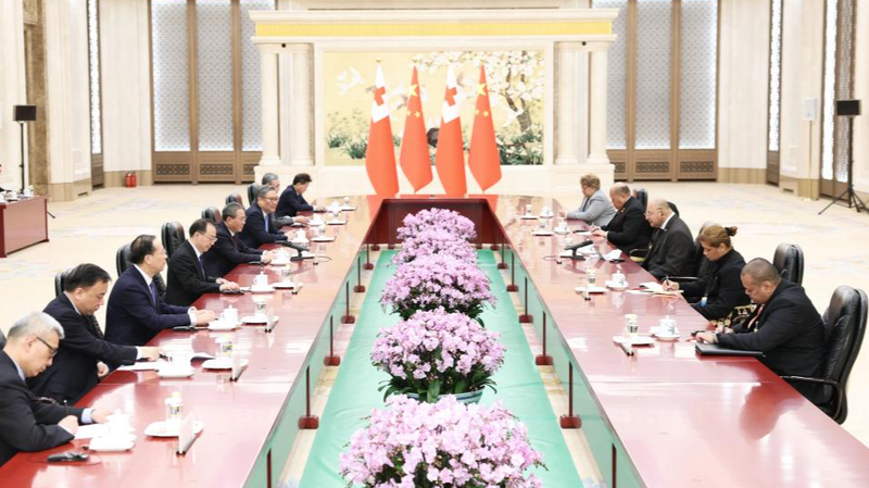 中国とトンガが経済連携を強化　一帯一路と国づくり戦略を連携へ