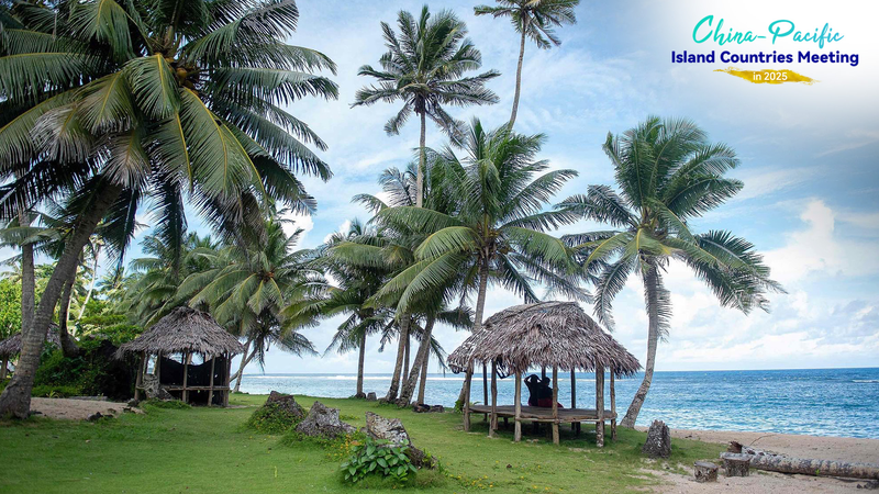 中国と太平洋島しょ国が気候レジリエンスで連携強化　グリーン開発同盟とは