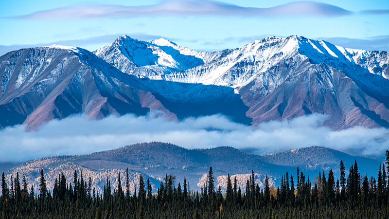 中国本土、カナダへの団体旅行を再開　人文交流拡大に期待
