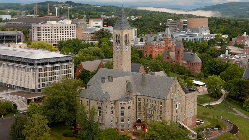 トランプ政権が連邦研究費を凍結　米名門大学で抗議広がる video poster