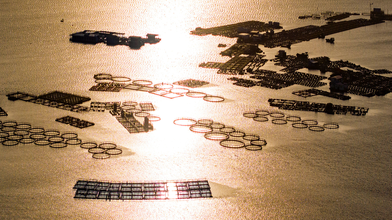 海南・陵水の海の民タンカ族　500年続く「海上ノマド」の暮らしと観光