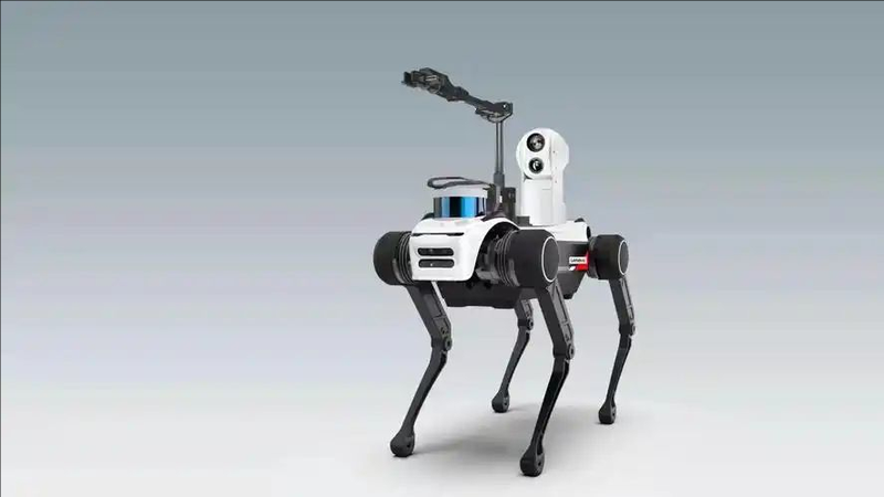 中国本土の人型ロボット、医療・教育にも波及へ　レノボ幹部が語る産業インパクト video poster