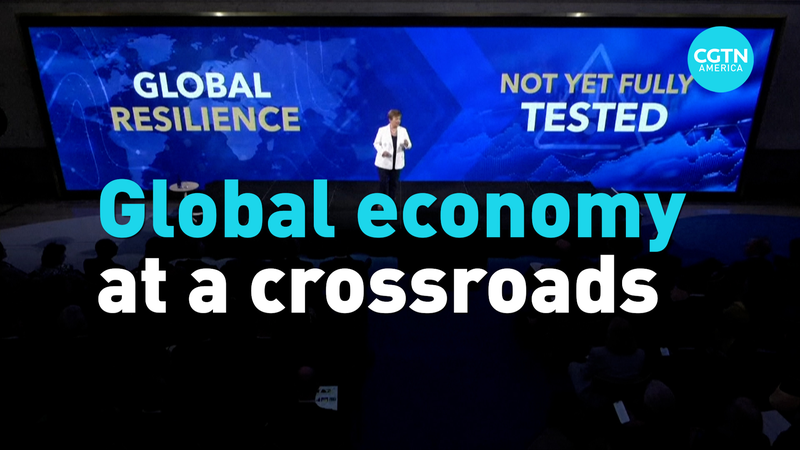 IMFが警鐘　関税の中でも世界経済は堅調、しかし「不確実性が新常態」に video poster