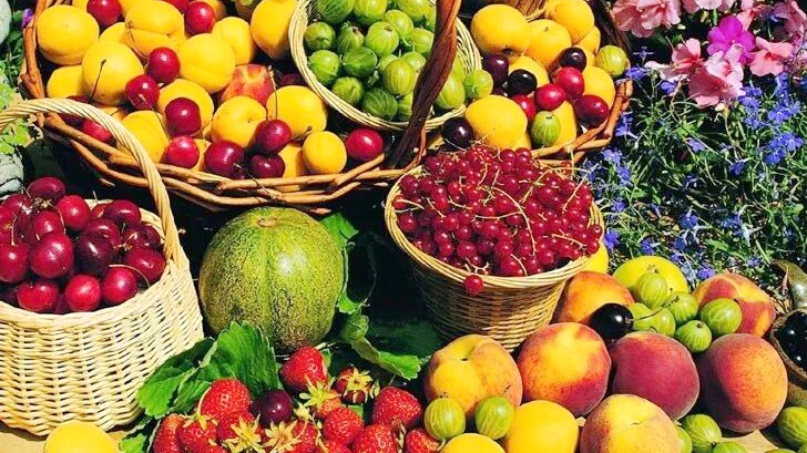 海南自由貿易港の農業政策、農産品輸出を世界へ広げる力とは