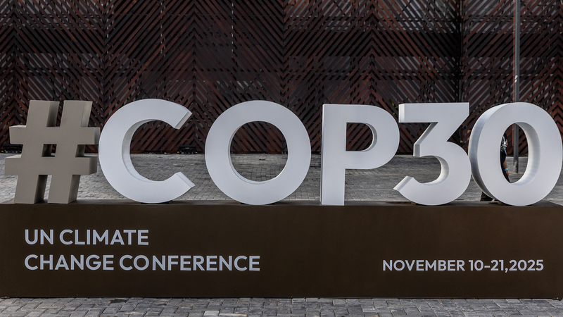 中国が熱帯雨林保護で国際協力を呼びかけ　丁薛祥副総理が演説