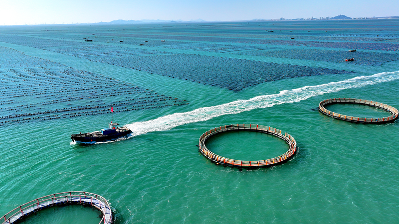 習近平氏、統一市場と海洋経済の高度化を指示　中国経済政策の新たな軸