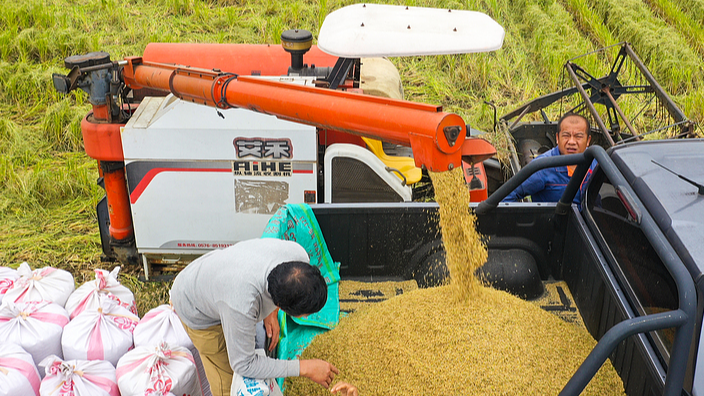 中国の食料安全保障戦略と世界への影響｜国際ニュース解説