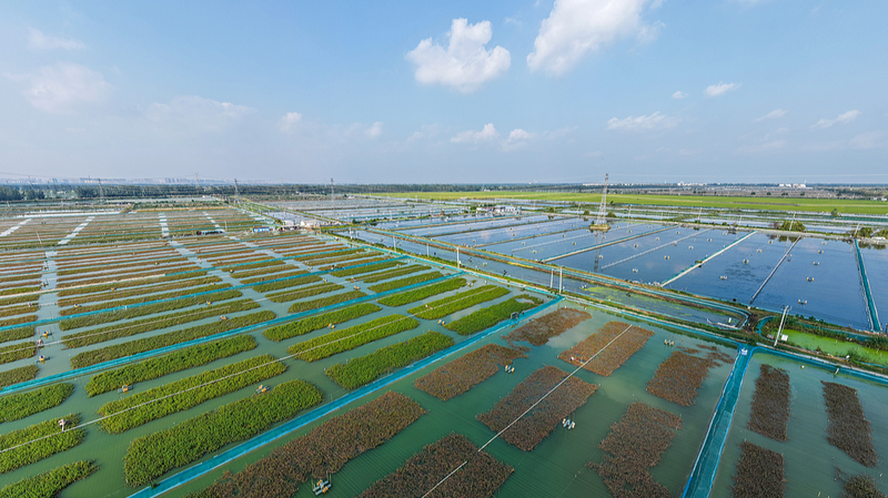 国連SDGs特別報告書：中国の達成率60.5％、世界とのギャップ鮮明に