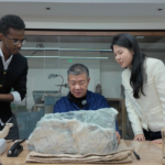 中国とソマリア国交65周年、贈られたヘティエン玉が作品に video poster