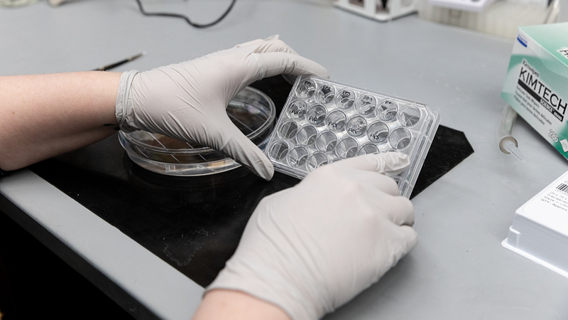 Nature調査：米国科学者の約75％が国外移住を検討　研究現場に何が起きているのか